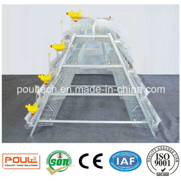 Hot Galvanized Poultry Cages for Indonesia